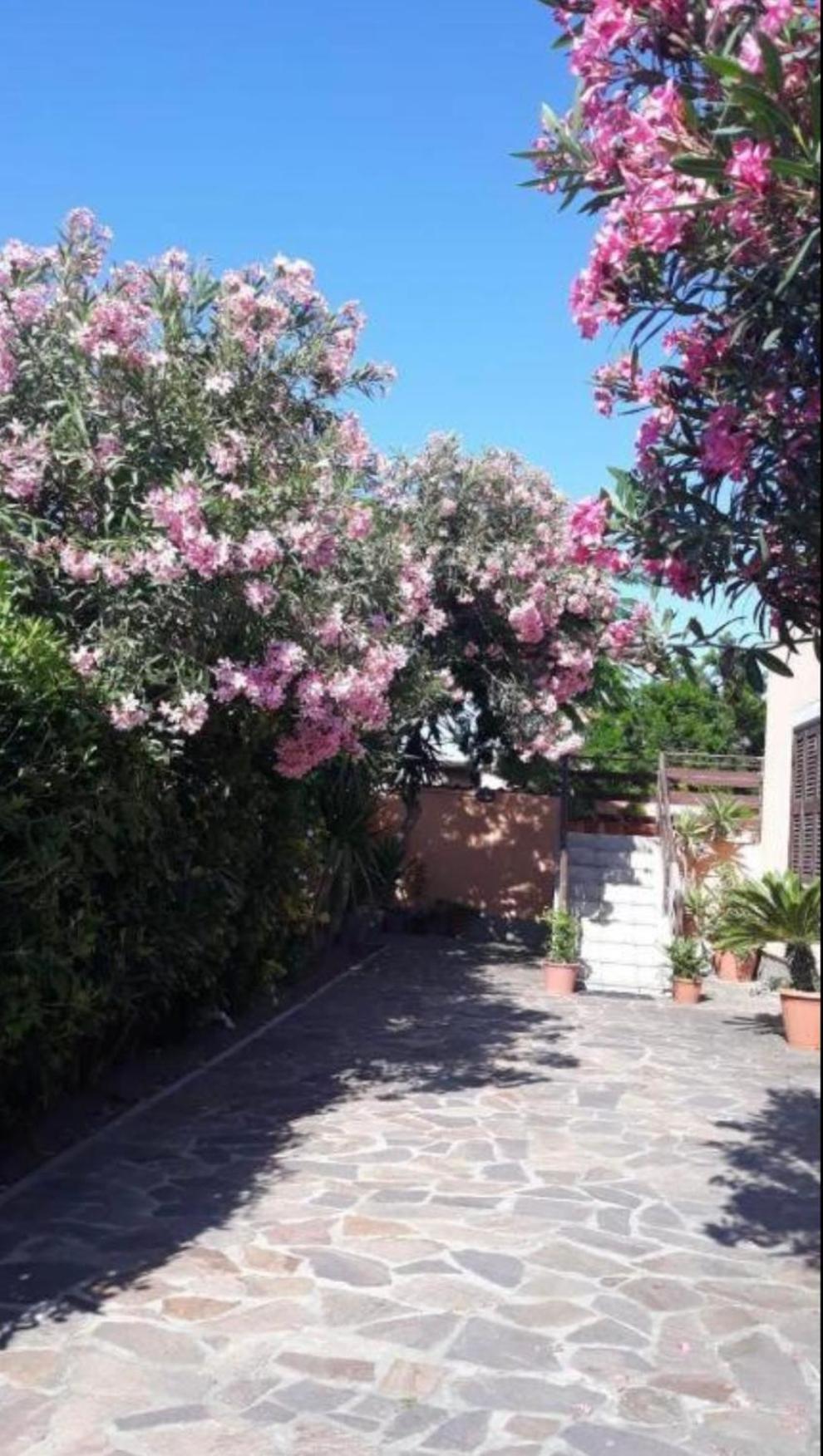 Giorgia Airport 2 Fiumicino Bed and Breakfast Eksteriør billede